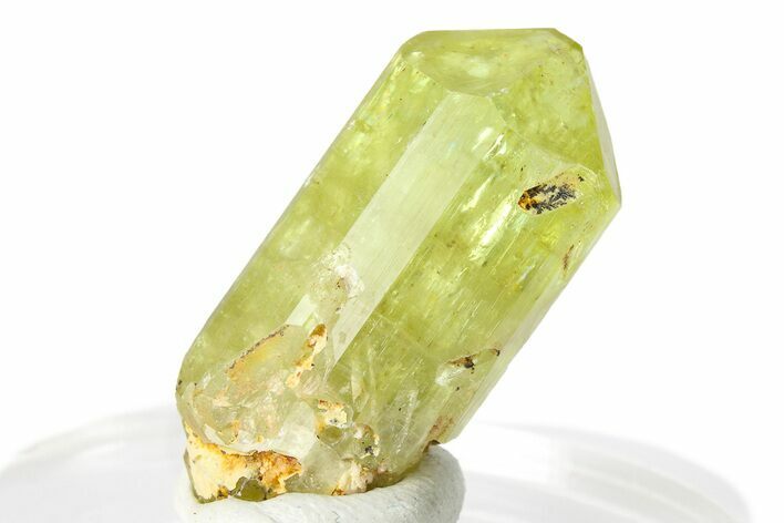 Gemmy Yellow-Green Apatite Crystal - Morocco #276554